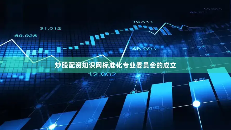 炒股配资知识网标准化专业委员会的成立