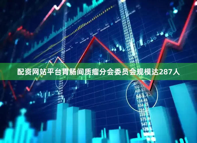 配资网站平台胃肠间质瘤分会委员会规模达287人