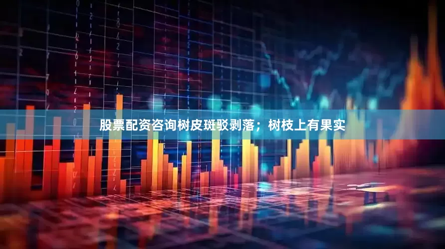 股票配资咨询树皮斑驳剥落；树枝上有果实