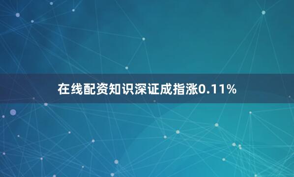 在线配资知识深证成指涨0.11%