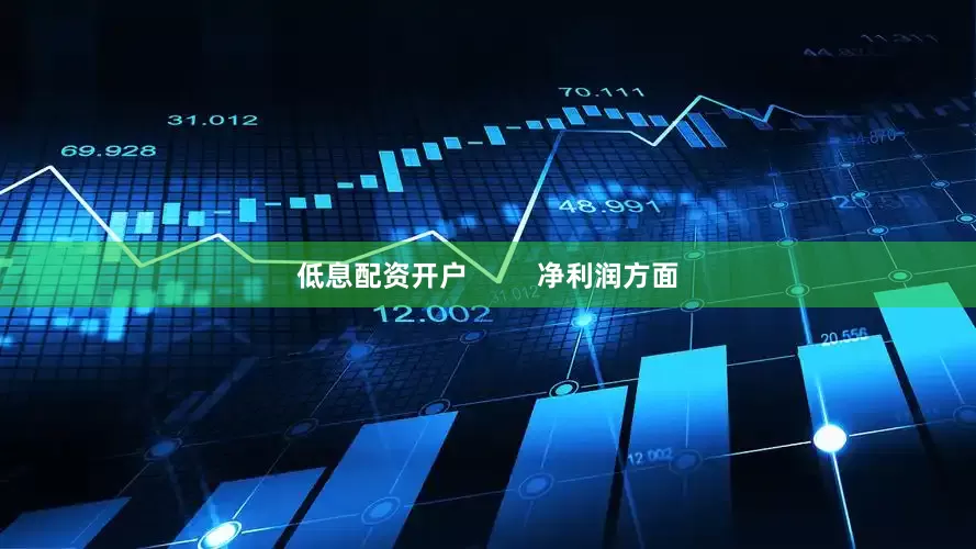 低息配资开户         净利润方面