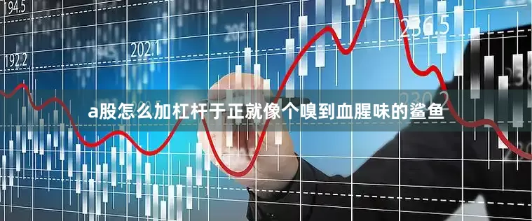 a股怎么加杠杆于正就像个嗅到血腥味的鲨鱼
